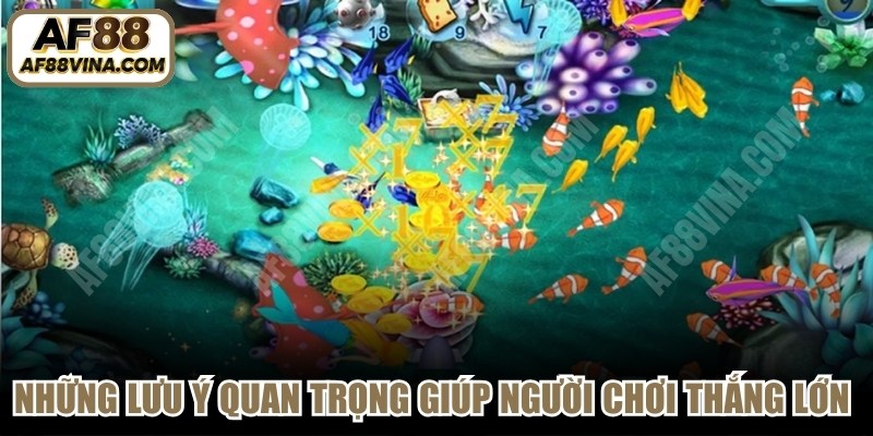 Những lưu ý quan trọng giúp người chơi thắng lớn được chuyên gia chia sẻ