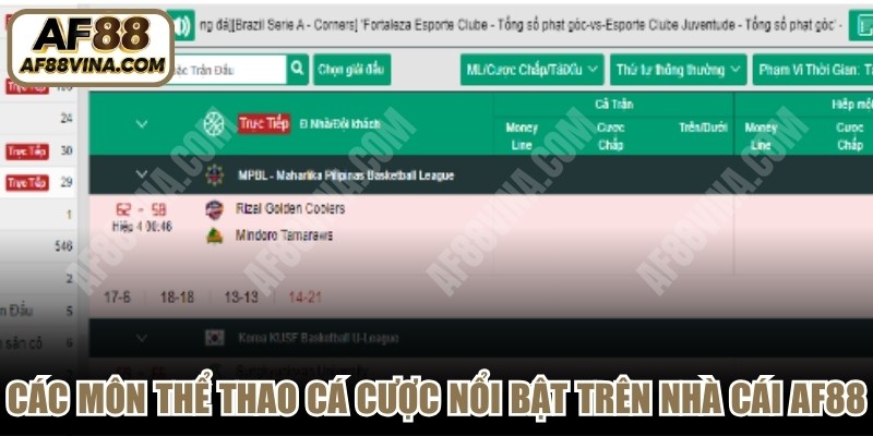 Các môn thể thao cá cược nổi bật trên nền tảng nhà cái AF88
