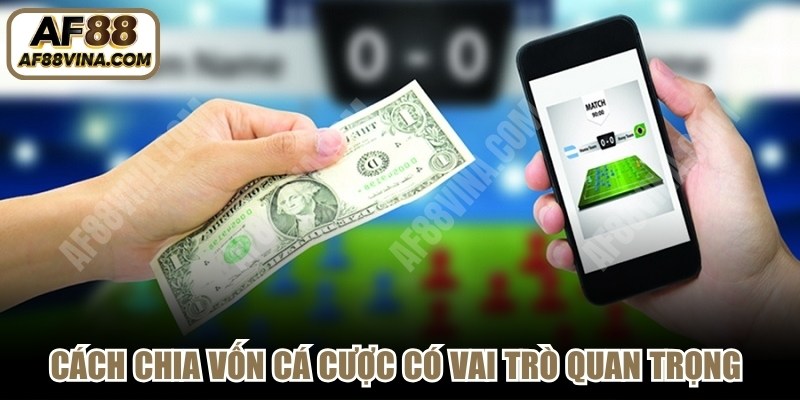 Cách chia vốn cá cược có vai trò quan trọng giúp hạn chế thiệt hại tài chính