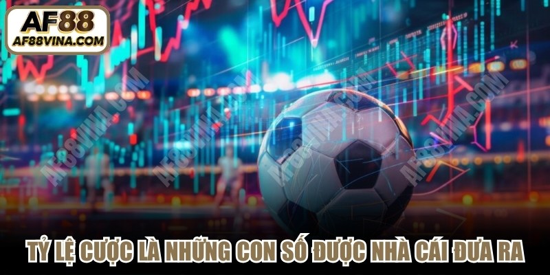 Tỷ lệ cược chính là những con số được nhà cái đưa ra 