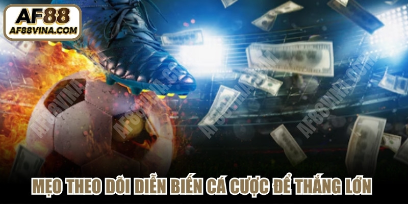 Mẹo theo dõi diễn biến cá cược bóng đá để cược thắng lớn cho bạn 