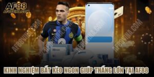 Kinh Nghiệm Bắt Kèo Ngon