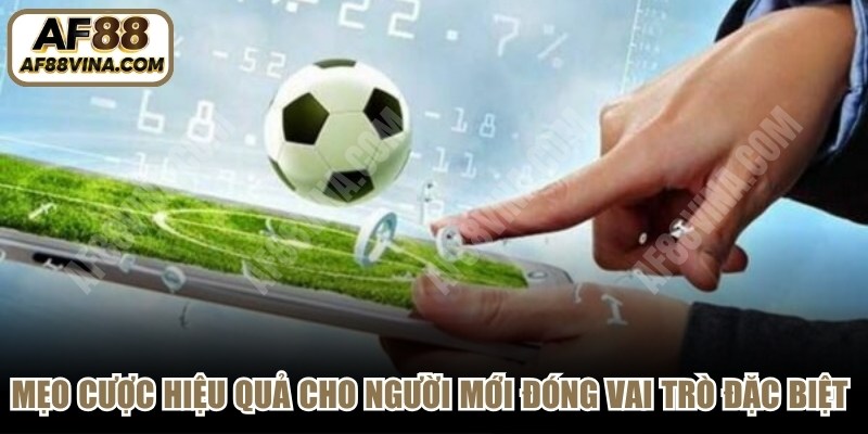 Mẹo cược hiệu quả cho người mới đóng vai trò đặc biệt quan trọng