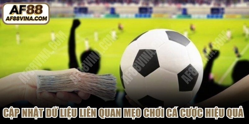 Cập nhật dữ liệu liên quan mẹo chơi cá cược hiệu quả cho người mới