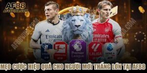 Mẹo Cược Hiệu Quả Cho Người Mới